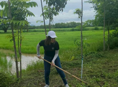 สำนักงานสหกรณ์จังหวัดเชียงราย จัดกิจกรรมปลูกพืชสมุนไพร ... พารามิเตอร์รูปภาพ 44
